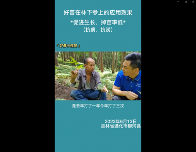 促進生長、掉苗率低:通化市柳河縣(2023.6.13）